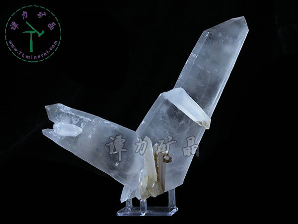 日本律雙晶，內(nèi)蒙古內(nèi)蒙古，東烏珠穆沁旗，額仁高畢,六井,976層,2016年產(chǎn)出