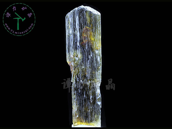 頑火輝石,緬甸，5.5x2.0x0.6cm